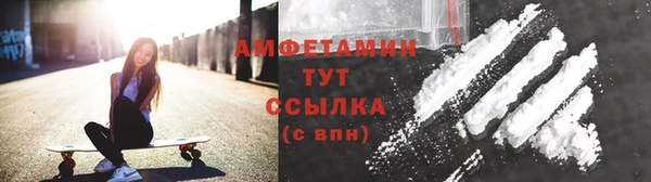 прущие грибы Дубна