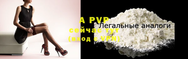 спиды Новокубанск