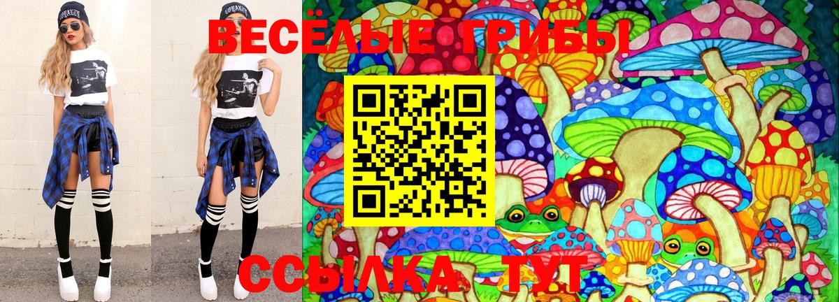 Галлюциногенные грибы Magic Shrooms  Вход с VPN  Кизляр 