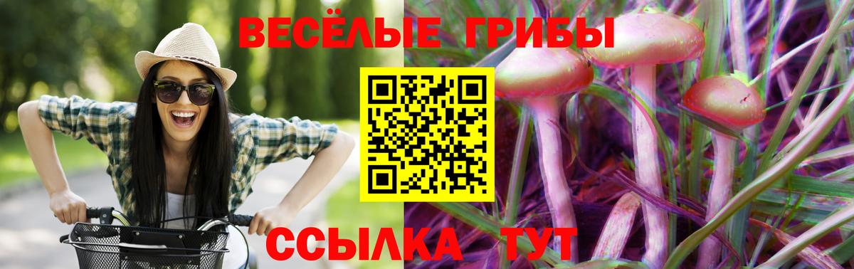 Галлюциногенные грибы Psilocybe  Псилоцибиновые грибы Magic Shrooms  Кизляр 